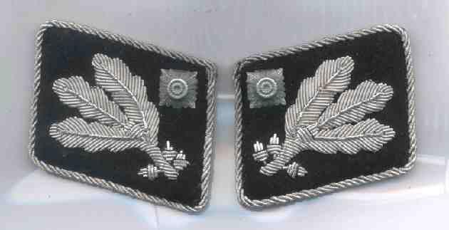петлицы